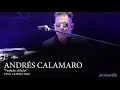 Verdades afiladas (Andrés Calamaro en el Vive Latino 2020)