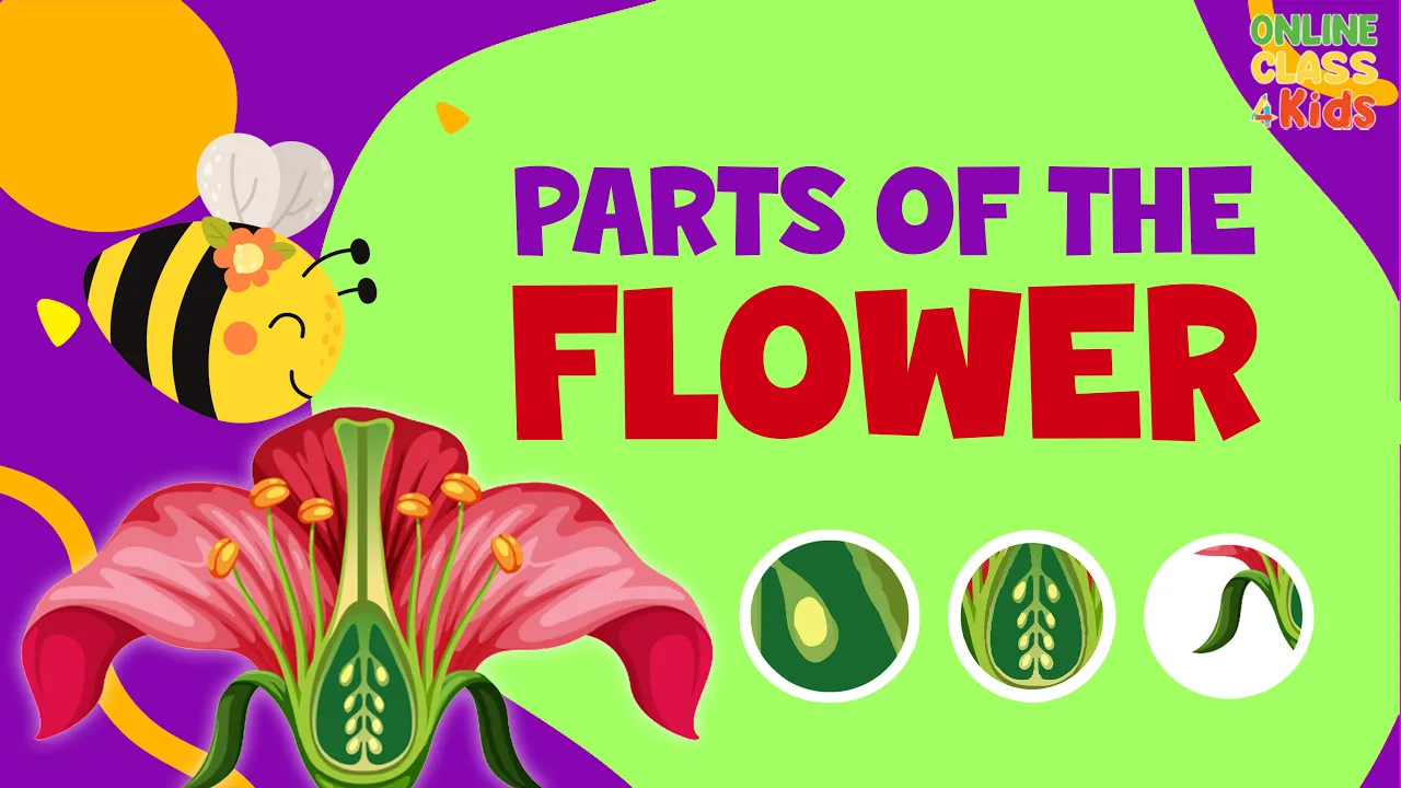 Parts of a Flower | Pollination Video | Science for Kids | Parts of Flower and their Functions Parts of a Flower | Pollination Video | Science for Kids | Parts of Flower and their Functions