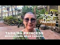 Download Lagu Tabaiba Princess Hotel: Tropical Plant Paradise 🌴🌿🌺