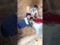 Download Lagu Chinese Comedy Chaos 😂 | Try Not to Laugh! #Funny #Shorts