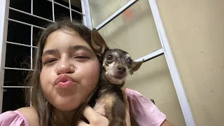 Nicole Rehder está ao vivo!