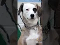 MCSO Monday MASH Minute - Ella