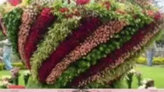 انشودة مدد مدد يا رسول الله  انشودة مدد مدد يا رسول الله