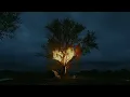 070 Shake - Black Dress (Visualizer)