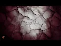 Maná - Vivir Sin Aire (Unplugged) [2020 Remasterizado] | Letra / Lyrics