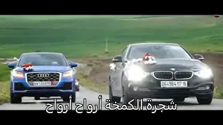 أغنية شجرة الكمخة نصر دين حرة 
