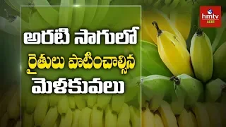 Download Banana Farming information Guide for Beginners | hmtv Agri MP3