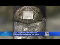 Missing A Huge Amount Of Pot It s At The Braintree Police Station
