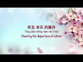 Yu Jian 遇见 Encounter [周深 Zhou Shen 翻唱 Cover] - Chinese, Pinyin & English Translation 英文翻译