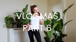 Starting My Plant Family 🌿 | Vlogmas PART 6