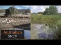 Download How Peter Andrews rejuvenates drought-struck land | Australian Story mp4 3gp mp3 videos - waplic