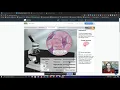 2 2 Student Exploration Cell Types Part 2 Directions