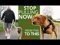 Download Lagu Best Trick To Stop Your Dog Pulling On The Leash