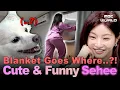 Download Lagu [Sub] Korean Actress Sehee Showing Off Her Adorable and Free-Spirited Self!😍🌸 #ParkDandan