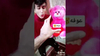 دب عيد الحب 