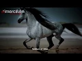 Download Lagu Soldiers of Allah ᴴᴰ   Nasheed   Muhammad \u0026 Ahmed Muqit