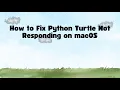 How to Fix Python Turtle Not Responding on macOS