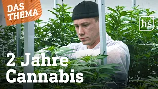 Was hat die Teillegalisierung von Cannabis gebracht? | hessenschau DAS THEMA