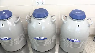 В одном из медицинских центров Омска врачи-репродуктологи успешно борются с бесплодием