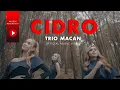 Trio Macan - Cidro (Official Music Video) | Tribute to Didi Kempot