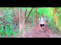 Sunflower by Vampire Weekend | Unofficial Music Video 