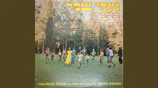 שלומית בונה סוכת שלום 