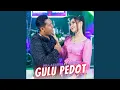 Download Lagu Gulu Pedot (feat. Brodin)