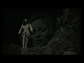 Sparklehorse - shade and honey