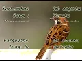 Nugie - Burung Gereja (Lirik)