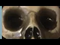 Dave has Vietnam flashbacks