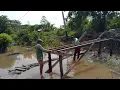 Download Lagu BERSAMA PAK EKO BANGUN JEMBATAN DEPAN RUMAH PAK SUDI WANI, CERITA PETANI RANTAU