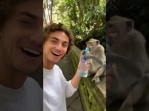 this monkey is thristy🙌