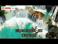 Download Lagu Biola lagu Malaysia agogo violin full album