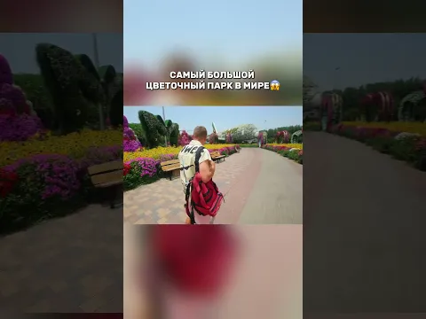 Удивительное место😍 #орелирешка