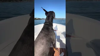 #fyp #dream #vlog #sailing