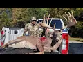 Giant Illinois whiteails Deer hunting Giant bucks