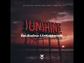 Sunshine - Cat Dealers, LOthief & Santti