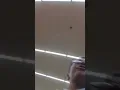 I will never act up in a store again
