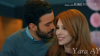 انتي وبس عمر ودفنة حب للايجار 