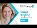 What Is Software Composition Analysis SCA How SCA Scans Open Source Code