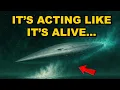 Download Lagu 3I/ATLAS Is Blasting Water Like a Fire Hose — And Scientists Are Shocked