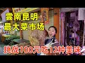 Download Lagu 100元逛吃雲南昆明最大菜市場，品嘗12種特色美食，享受菜市天花板級別服務！Food tour in the biggest market of Yunnan, China.
