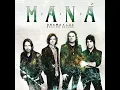 El verdadero amor perdona (dueto con Prince Royce) (feat. Prince Royce) - Maná