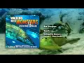 Download Lagu 5. Sea Scorpions