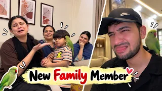 Ghar mai new member ki entry hogai🥺 | basil ne fariha ko dara diya😂