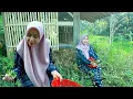Download Lagu TAK SENGAJA.. JUMPA JANDA DESA GEMOY   TIDAK MENGENAL LELAH DIPELOSOK PEDESAAN