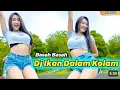 Download Lagu MIX DUT DISCO WAKATOBI POP KENANGAN‼️SALAHMU SENDIRI  VIRAL TIKTOK 2026