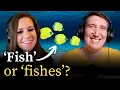 What is the true plural of fish