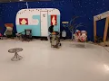Trailer Park Tragedy a Murder Mystery