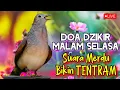Suara Perkutut Manggung Bikin Tenang HATi !! Diringi Dzikir MALAM SELASA DOA MUSTAJAB PENARiK REZEKi